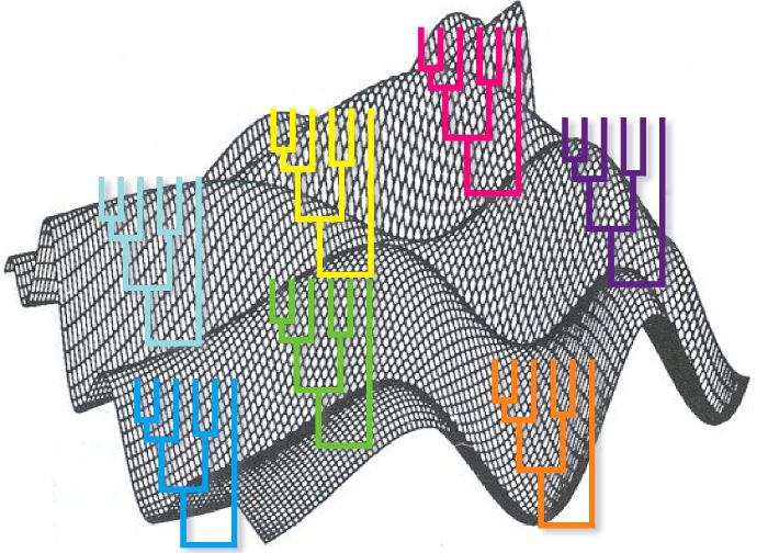 bayesian landscape