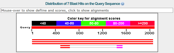 blast result2