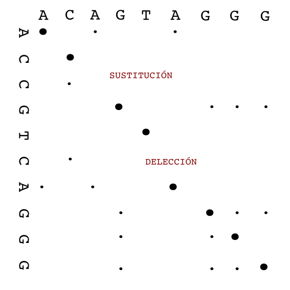 Dot Plot