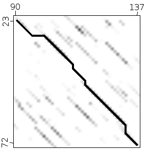 Dot Plot Path