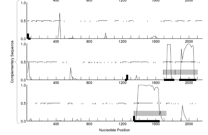 GeneMark result
