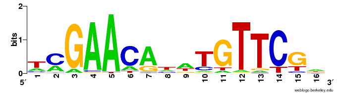 Sequence logo