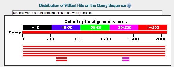 _images/blast_result2.png