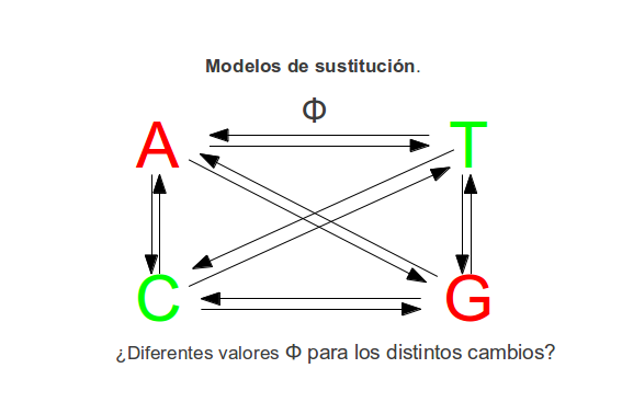 _images/modelos.png