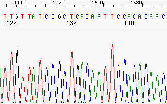 _images/normal3730.gif
