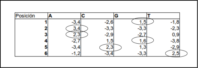 _images/score_matriz.png