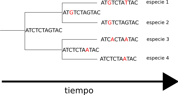 _images/sequence_tree.png