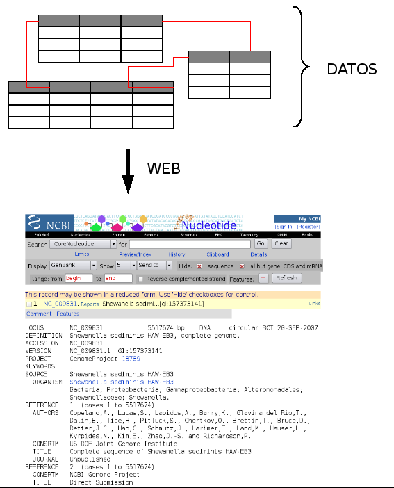 _images/web_interface.png