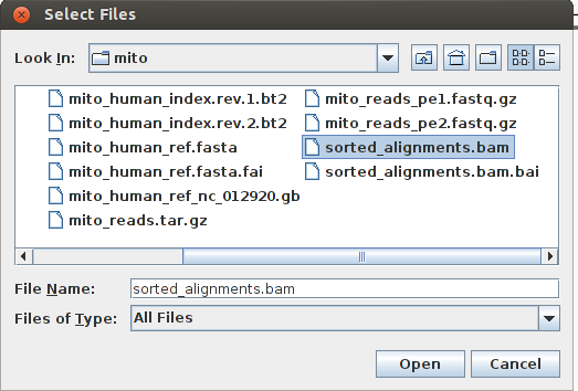 _images/igv_load_bam.png