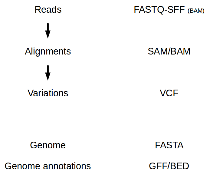_images/ngs_file_formats.png